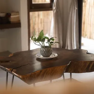 *** Hotel Big Tree Boutique Thailand